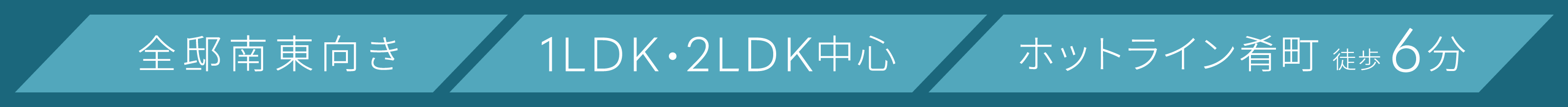 全邸南東向き
1LDK 2LDK中心
ホットライン肴町 徒歩6分