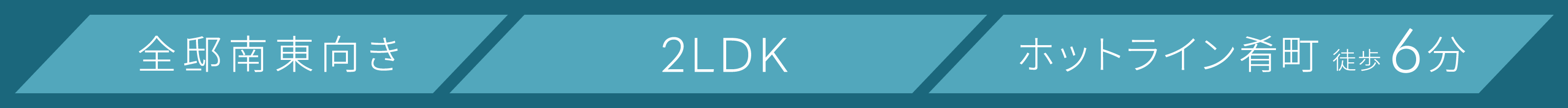 全邸南東向き 2LDK ホットライン肴町 徒歩6分