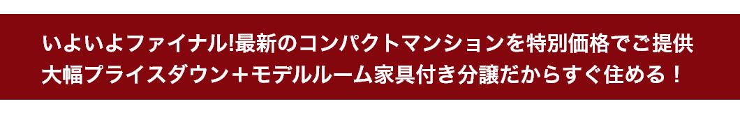 いよいよファイナル!最新のコンパクトマンションを特別価格でご提供。大幅プライスダウン＋モデルルーム家具付き分譲だからすぐ住める！